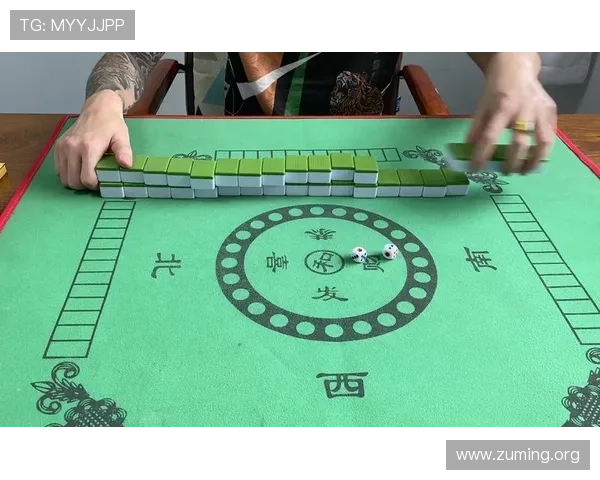 推饼子玩法新手入门指南，快速掌握玩法技巧实现高分攻略